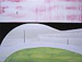 2007