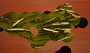 2010