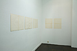 2013 work in situ -  aimee terburg
