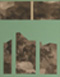 2000